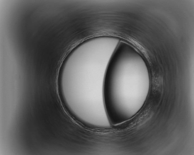 X0000098130485200804171102