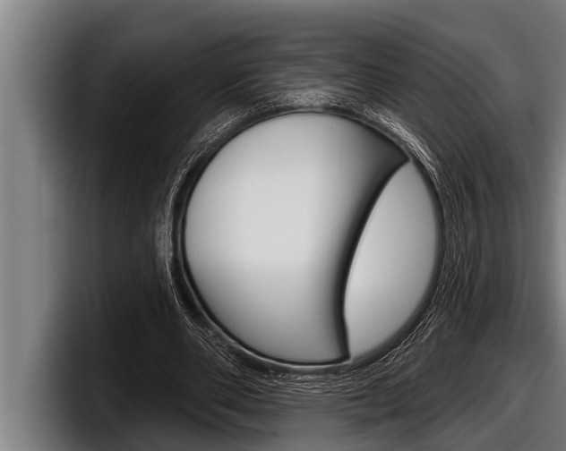 X0000098130486200804171102