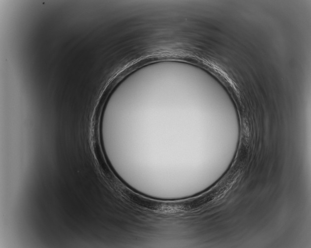 X0000098130487200804171102