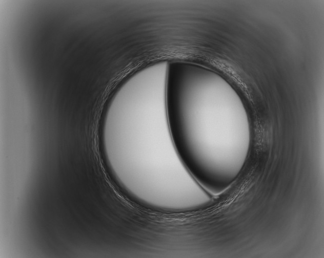X0000098130489200804171102
