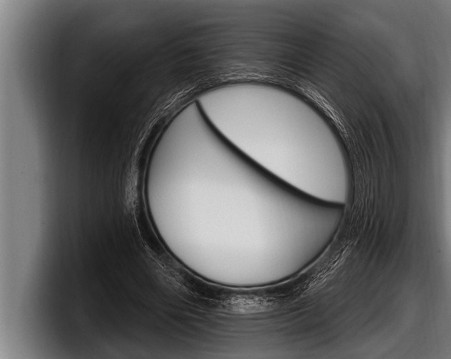 X0000098130490200804171102