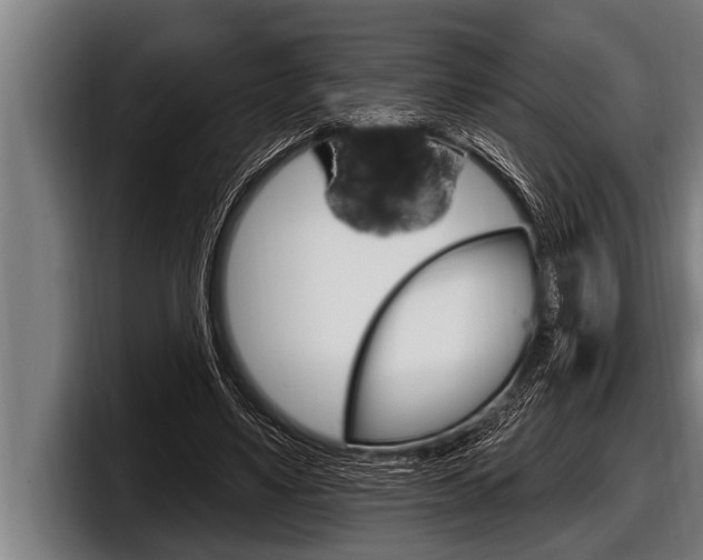 X0000098130491200804171102