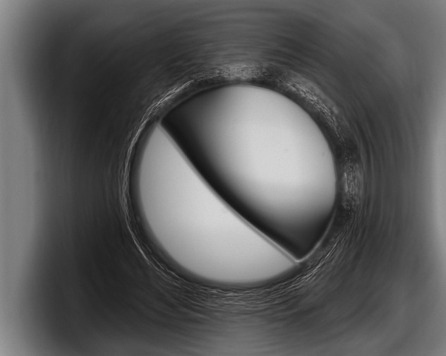 X0000098130492200804171102