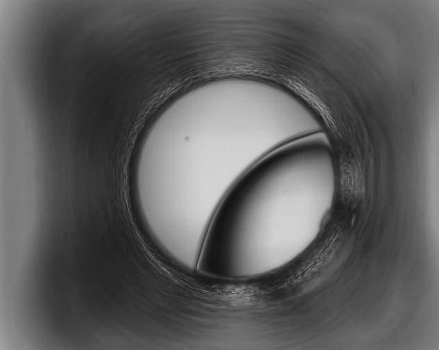 X0000098130493200804171102