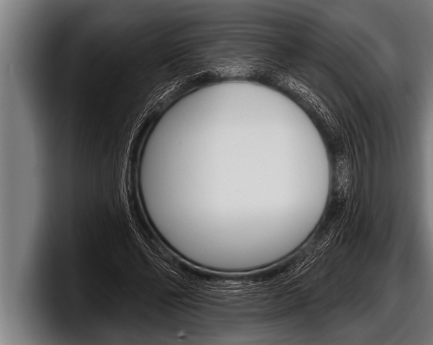 X0000098130494200804171102