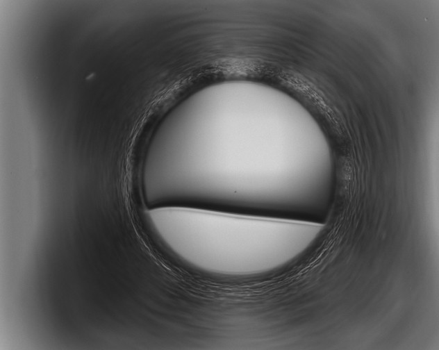 X0000098130496200804171102