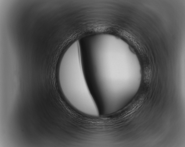 X0000098130497200804171102
