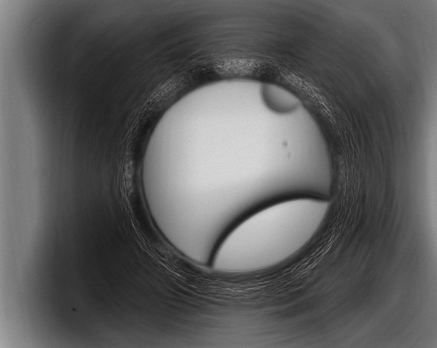 X0000098130498200804171102