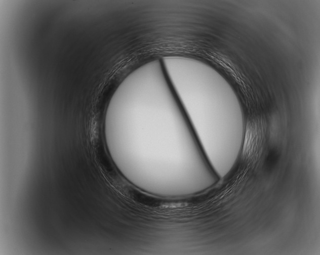 X0000098130499200804171102
