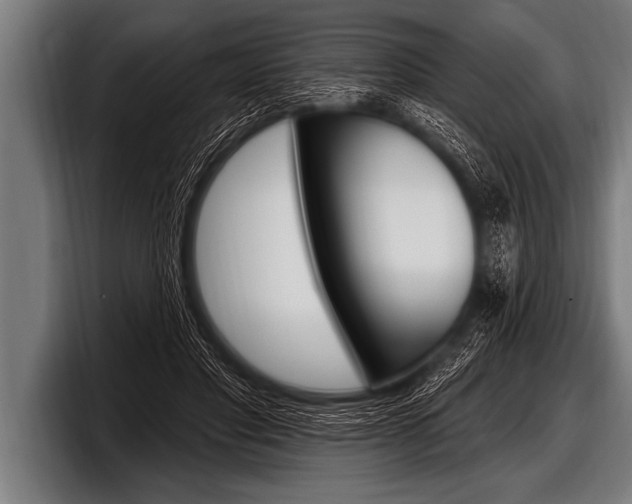 X0000098130501200804171102