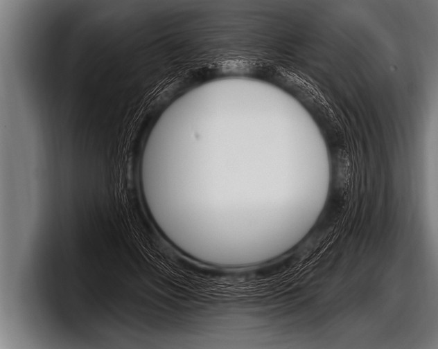 X0000098130502200804171102