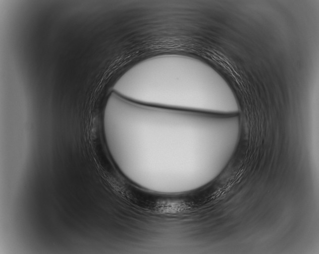 X0000098130503200804171102