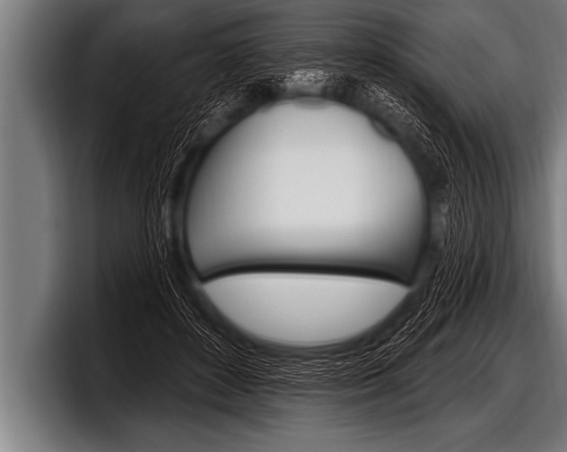 X0000098130504200804171102