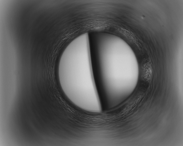 X0000098130505200804171102