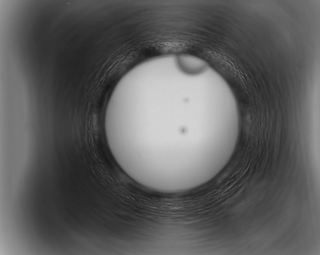 X0000098130506200804171102