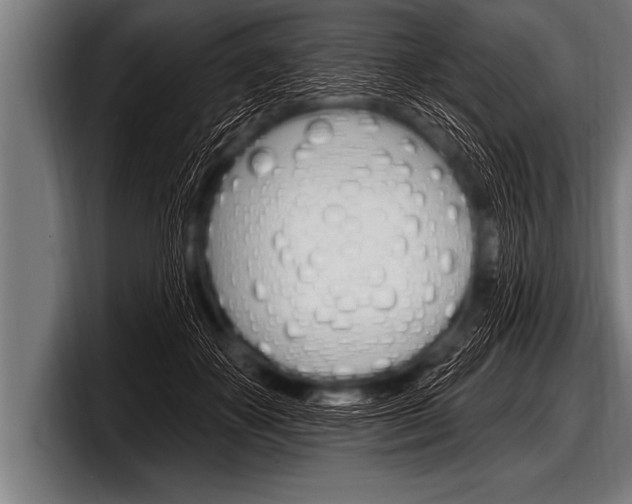 X0000098130507200804171102
