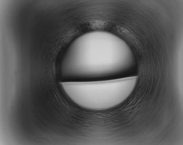 X0000098130508200804171102