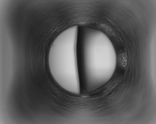 X0000098130509200804171102