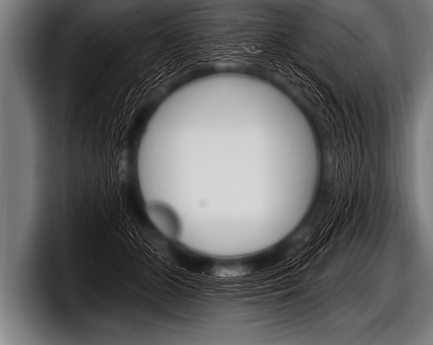 X0000098130510200804171102