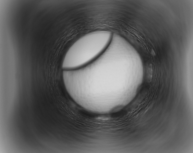 X0000098130511200804171102