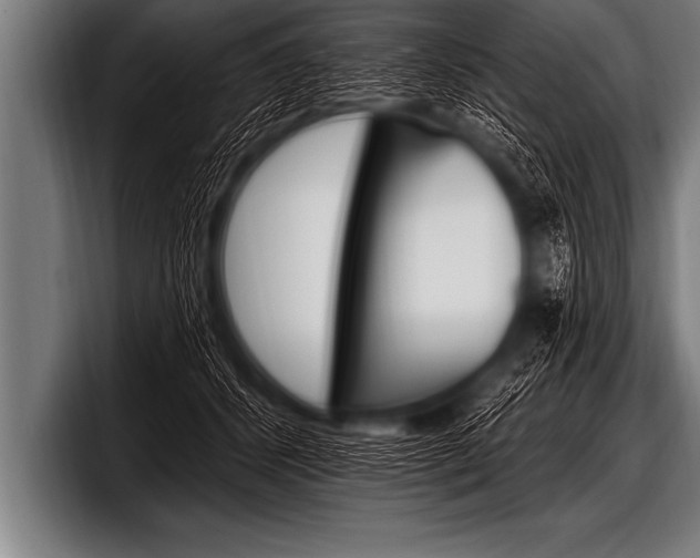 X0000098130512200804171102