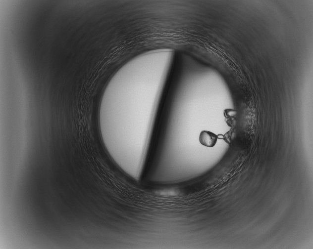 X0000098130513200804171102
