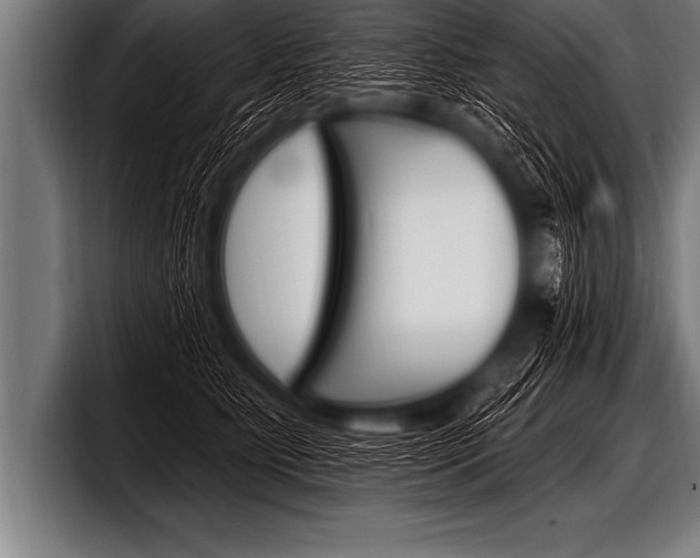 X0000098130515200804171102