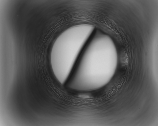 X0000098130516200804171102