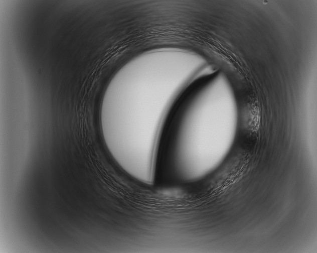 X0000098130517200804171102