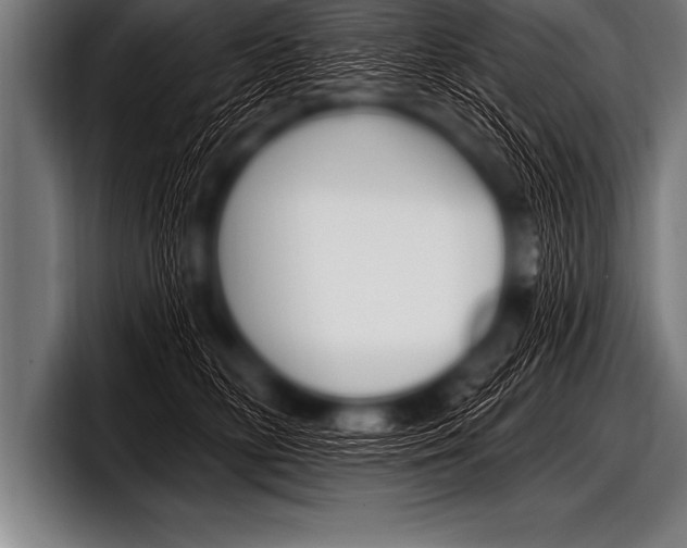 X0000098130518200804171102