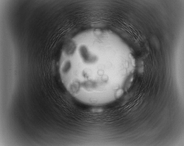 X0000098130519200804171102