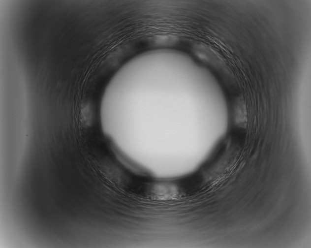 X0000098130520200804171102