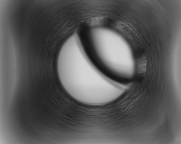 X0000098130521200804171102