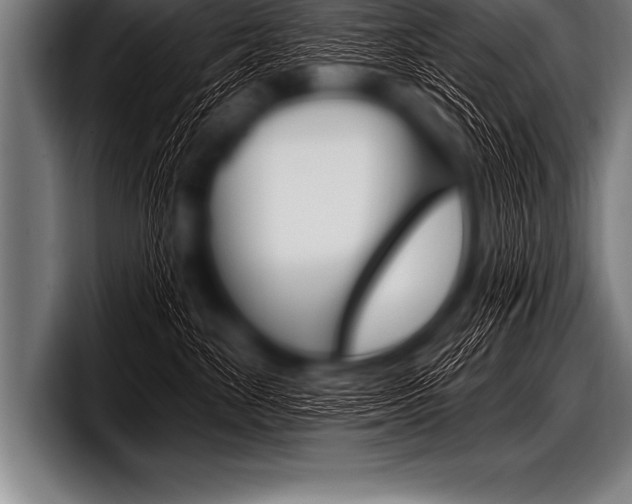 X0000098130524200804171102