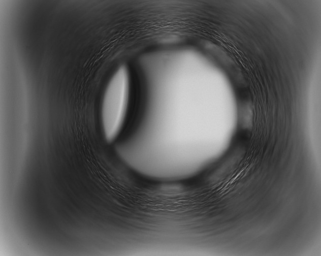 X0000098130525200804171102