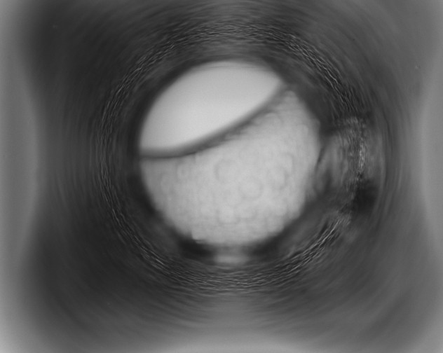 X0000098130527200804171102