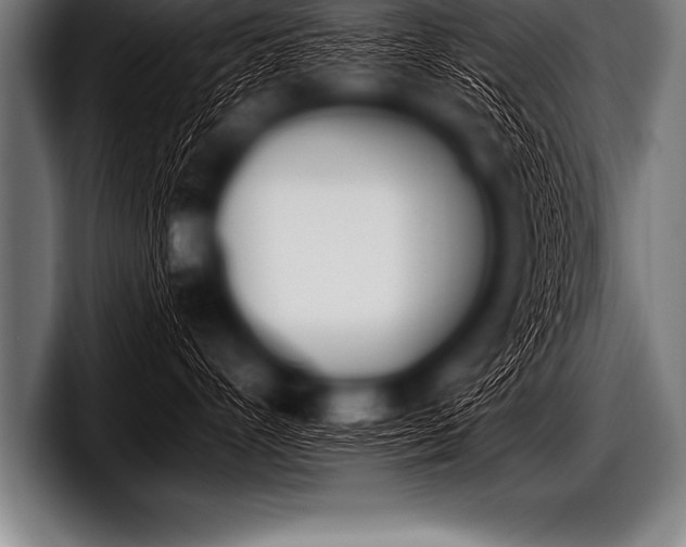 X0000098130528200804171102