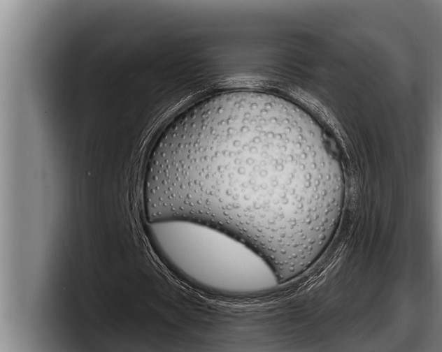 X0000098130529200804171101