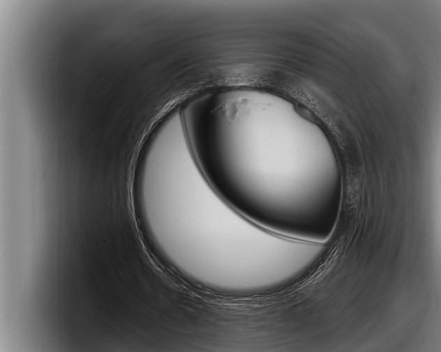 X0000098130530200804171101