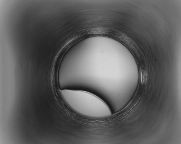 X0000098130531200804171101