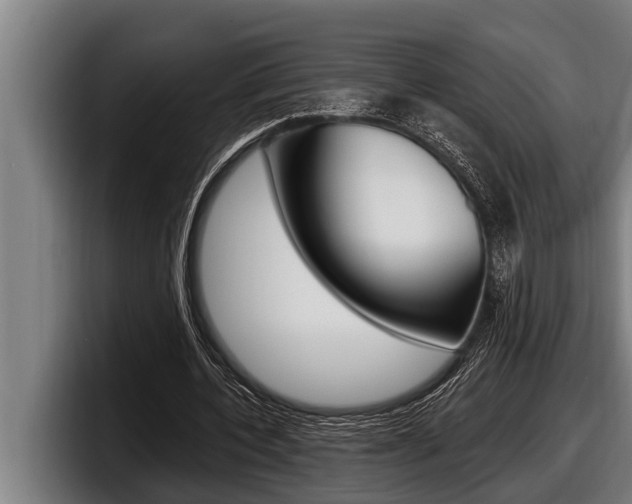 X0000098130532200804171101