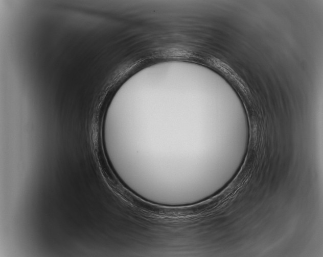 X0000098130533200804171101