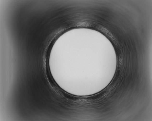 X0000098130534200804171101