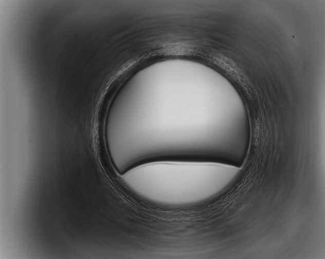 X0000098130535200804171101