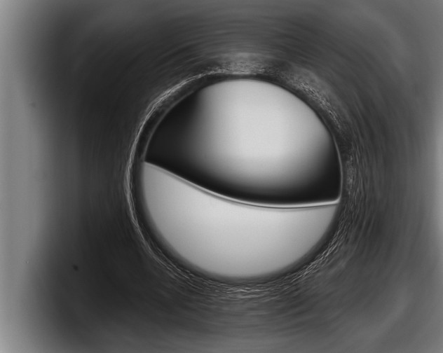 X0000098130536200804171101