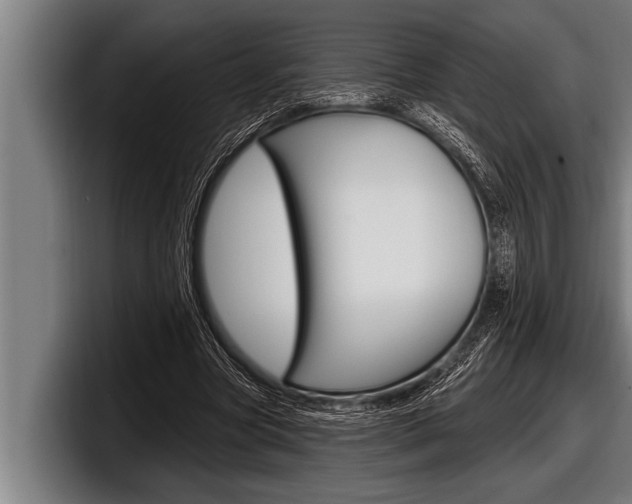 X0000098130537200804171101