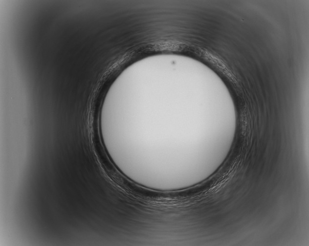 X0000098130538200804171101