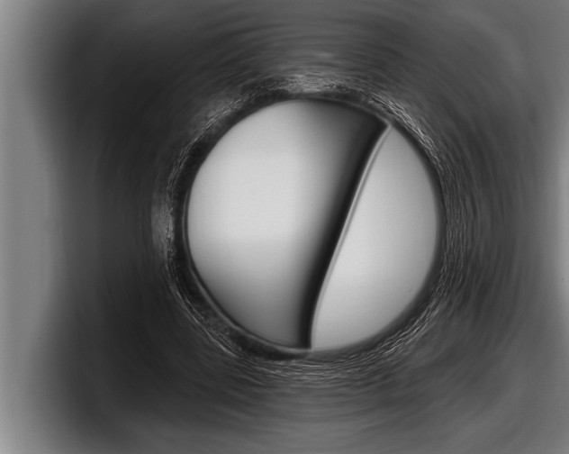 X0000098130539200804171101