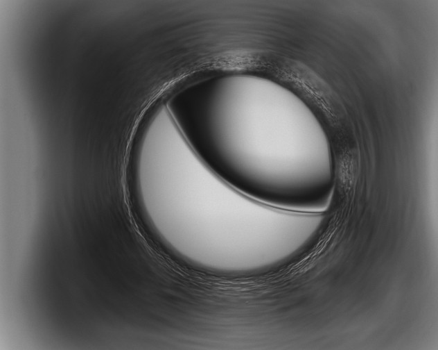 X0000098130540200804171101