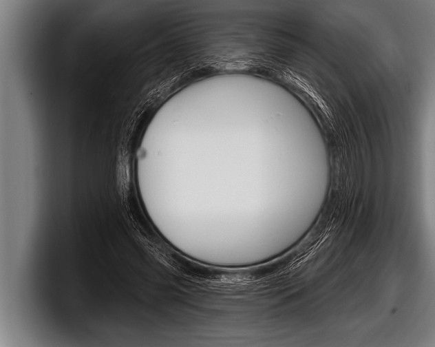 X0000098130541200804171101